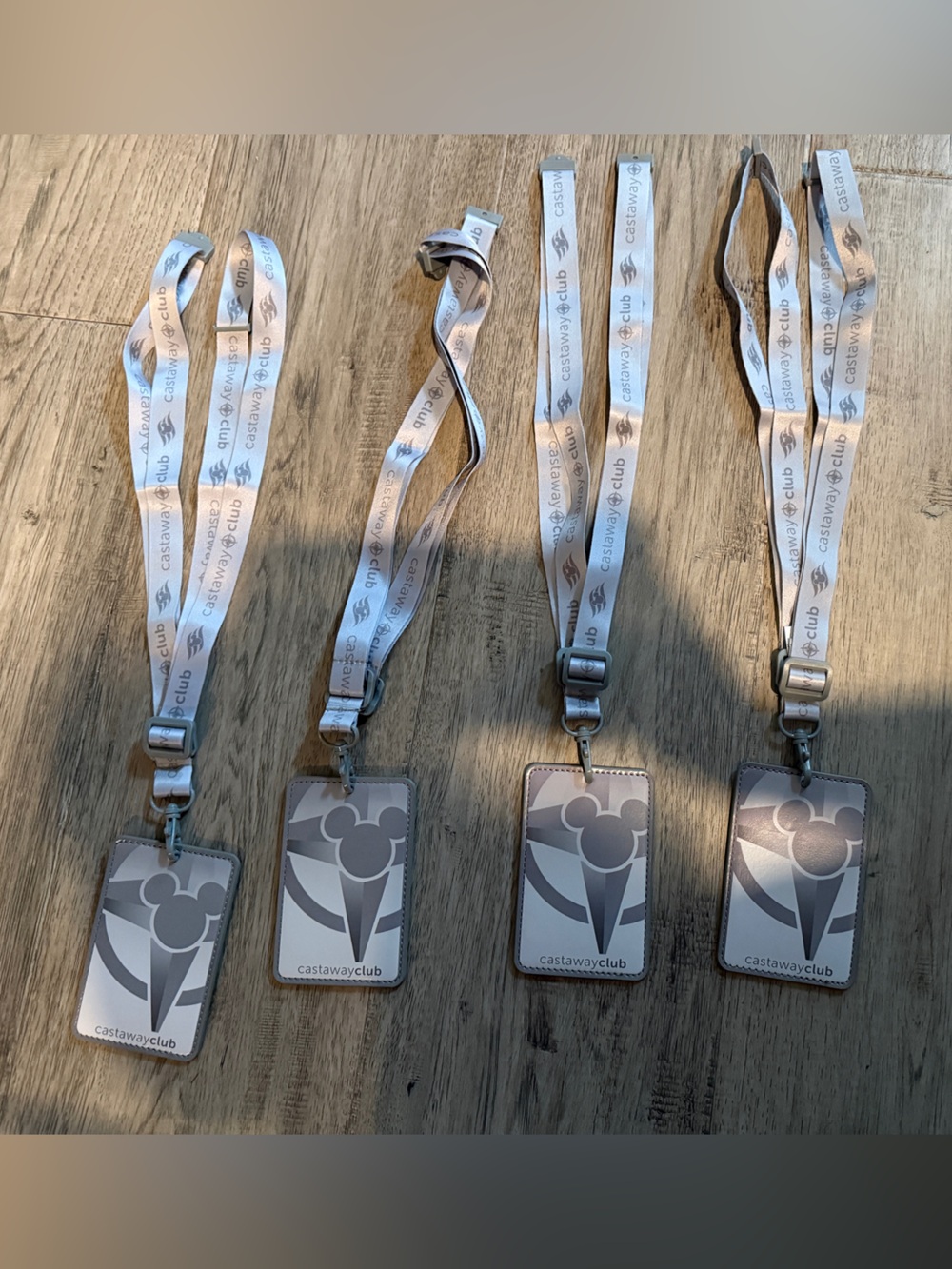 Castaway Cay Lanyards with Badge Holders - Silver & White